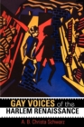 Image for Gay voices of the Harlem Renaissance