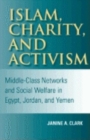 Image for Islam, charity, and activism  : middle-class networks and social welfare in Egypt, Jordan, and Yemen