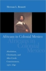 Image for Africans in Colonial Mexico