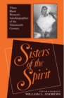 Image for Sisters of the Spirit