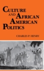 Image for Culture and African American Politics