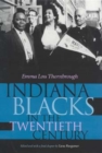 Image for Indiana Blacks in the Twentieth Century
