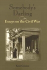 Image for Somebody&#39;s darling  : essays on the civil war