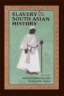 Image for Slavery and South Asian history