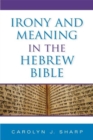 Image for Irony and Meaning in the Hebrew Bible