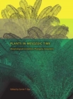 Image for Plants in Mesozoic time  : morphological innovations, phylogeny, ecosystems