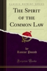 Image for Spirit of the Common Law