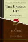 Image for Undying Fire: A Contemporary Novel