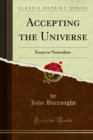 Image for Accepting the Universe: Essays in Naturalism