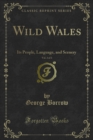 Image for Wild Wales: Its People, Language, and Scenery