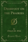 Image for Deerfoot On the Prairies