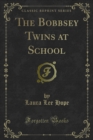 Image for Bobbsey Twins at School