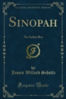 Image for Sinopah: The Indian Boy
