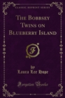 Image for Bobbsey Twins On Blueberry Island