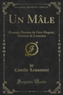 Image for Un Male: Roman; Dessins De Geo-dupuis, Gravure De Lemoine