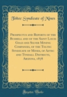 Image for Prospectus and Reports of the Bushell and of the Saint Louis Gold and Silver Mining Companies, of the Toltec Syndicate of Mines, of Aztec and Tyndall Districts, Arizona, 1878 (Classic Reprint)
