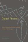 Image for Digital phoenix  : why the information economy collapsed and how it will rise again