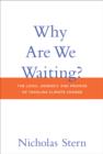Image for Why are we waiting?  : the logic, urgency, and promise of tackling climate change