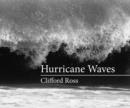 Image for Hurricane Waves