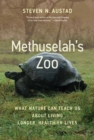 Image for Methuselah&#39;s Zoo