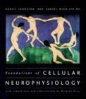 Image for Foundations of Cellular Neurophysiology