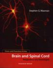 Image for Form and Function in the Brain and Spinal Cord : Perspectives of a Neurologist