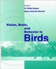 Image for Vision, Brain, and Behavior in Birds