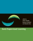 Image for Semi-supervised learning