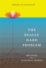 Image for Really Hard Problem: Meaning in a Material World