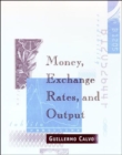 Image for Money, exchange rates, and output
