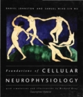 Image for Foundations of cellular neurophysiology