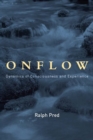 Image for Onflow: dynamics of consciousness and experience