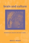 Image for Brain and Culture: Neurobiology, Ideology, and Social Change