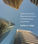 Image for Open economy macroeconomics in developing countries