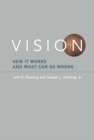 Image for Vision: how it works and what can go wrong