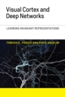 Image for Visual cortex and deep networks: learning invariant representations