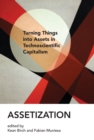 Image for Assetization: turning things into assets in technoscientific capitalism