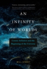 Image for An Infinity of Worlds: Cosmic Inflation and the Beginning of the Universe