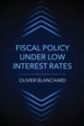 Image for Fiscal policy under low interest rates
