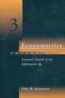 Image for Econometrics : Economic Growth in the Information Age