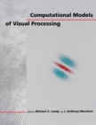 Image for Computational models of visual processing