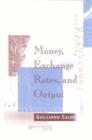 Image for Money, Exchange Rates, and Output