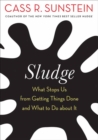 Image for Sludge  : what stops us from getting things done and what to do about it