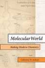 Image for Molecular world  : making modern chemistry