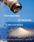 Image for Perturbations, optimization, and statistics