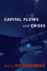 Image for Capital Flows and Crises