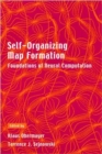 Image for Self-organizing map formation  : foundations of neural computation