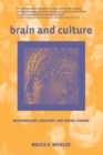 Image for Brain and Culture
