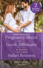 Image for Pregnancy Shock For The Greek Billionaire / Their Surprise Safari Reunion