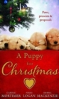 Image for A Puppy for Christmas